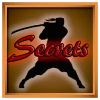 Secrets of Shadow Fight 2