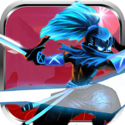 The Ninja Of Fight icon