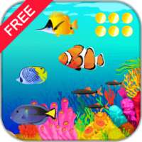 Colorful Fishing Joy