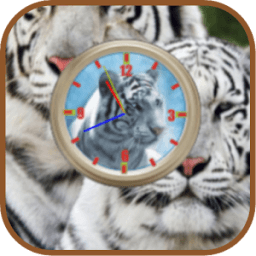 ikon Whitetiger Liveclock WP