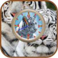 Whitetiger Liveclock WP