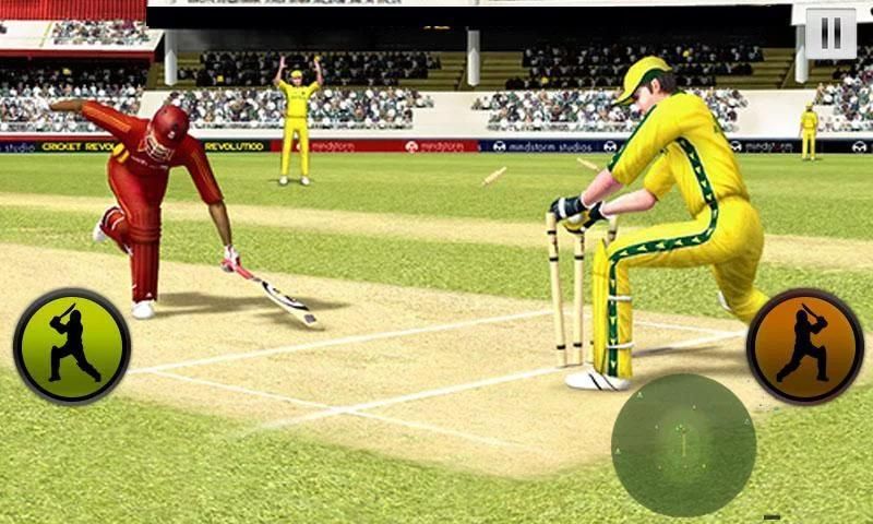 BBH Cricket Worldcup screenshot 1