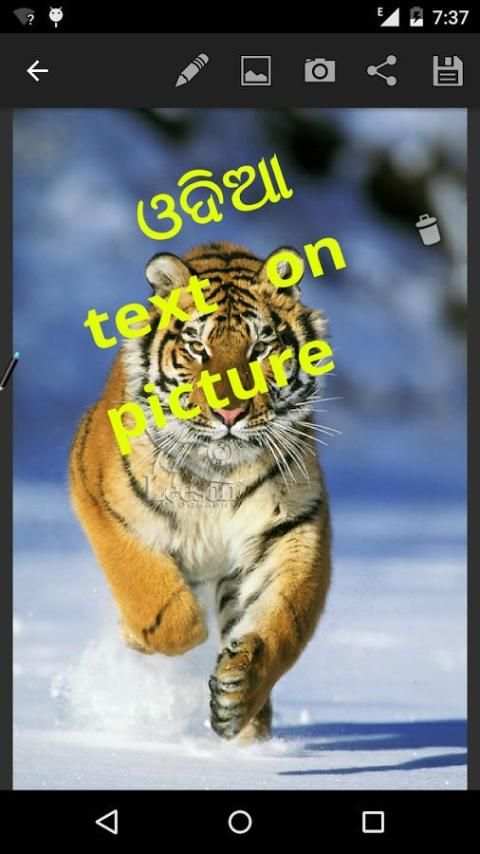 odia text on picture screenshot 7