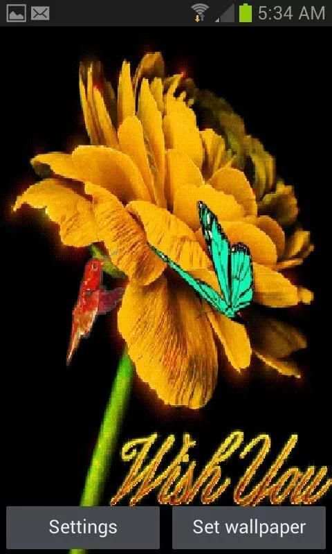 Bird Flower Live Wallpaper скриншот 2