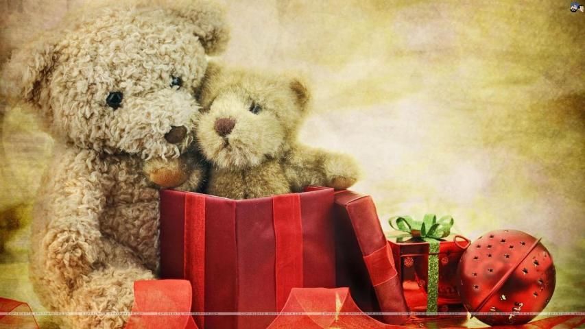 380 Cute Pics! ideas in 2024 | teddy bear wallpaper, teddy bear pictures,  teddy bear images