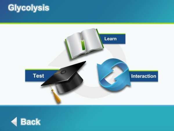 Biology Cellular Respiration L screenshot 12