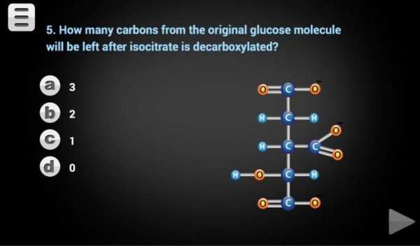 Biology Cellular Respiration L screenshot 10