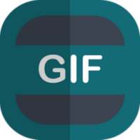 Giphy. all the new Gifs