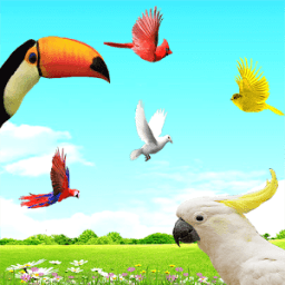 Sky Birds Live Wallpaper Free أيقونة