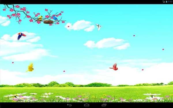 Sky Birds Live Wallpaper Free 5 تصوير الشاشة