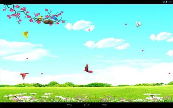 Sky Birds Live Wallpaper Free скриншот 4