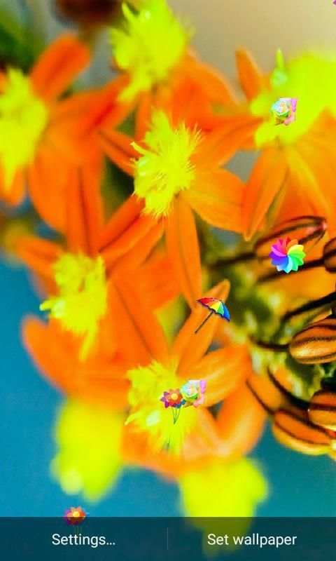Note5 Magic Touch Wallpaper screenshot 1