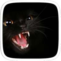 أسود جنون القط on 9Apps