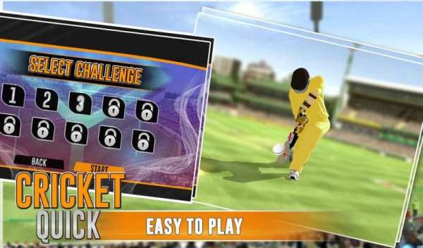 Quick Cricket скриншот 4