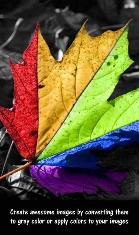 Color Splash Effects स्क्रीनशॉट 3