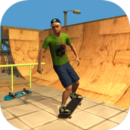 ikon Tony Hawk skater