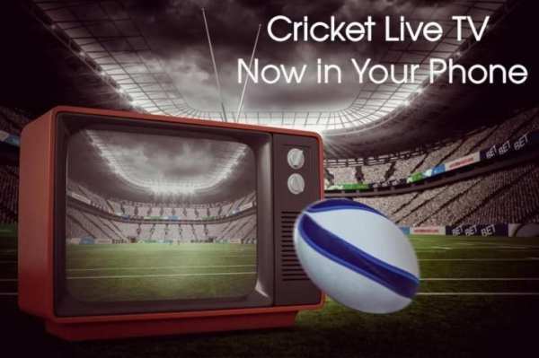 Cricket score 2017 screenshot 3