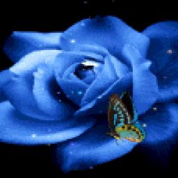 Blue Butterfly Rose Live Wallpaper иконка
