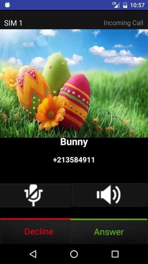 Fake Call Easter Bunny screenshot 2