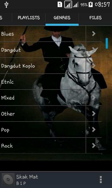 Pemutar musik screenshot 1