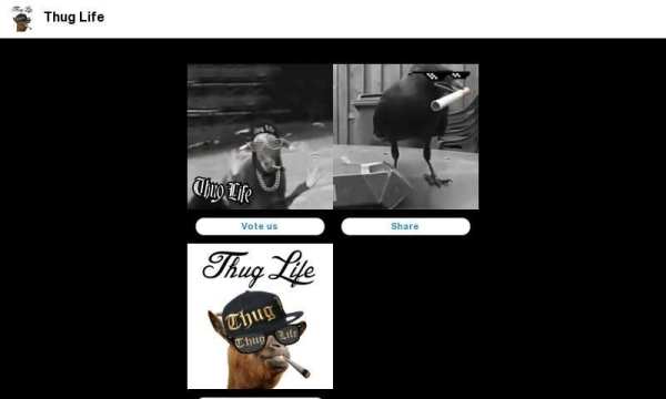 Hewan Thug Life screenshot 1