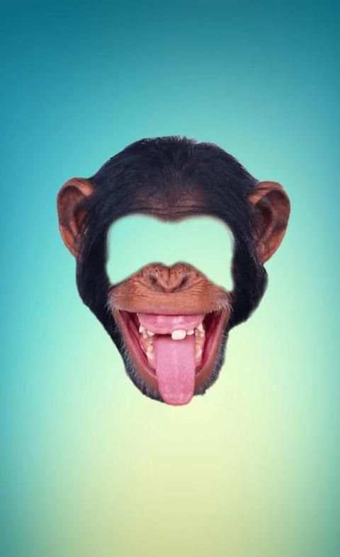 Wajah Hewan Mengedit Foto screenshot 2