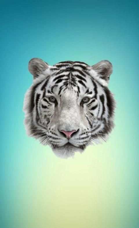 Animal Face Photo Editor screenshot 1
