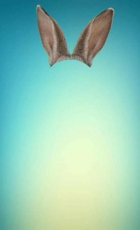 Wajah Hewan Mengedit Foto screenshot 5