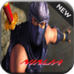 Ninja Fighter 2 иконка