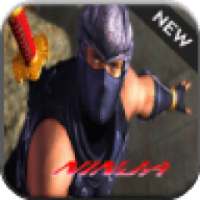Ninja Fighter 2