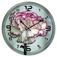 Carnations Clock Live WP