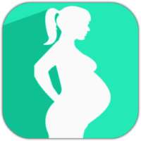 Pregnancy Calendar on 9Apps