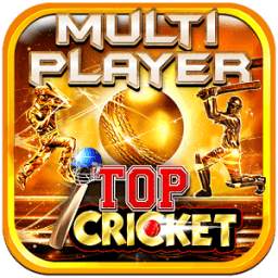 Top Cricket MultiPlayer