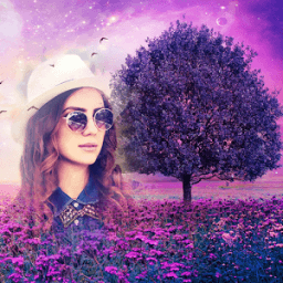 Magic Photo frame आइकन