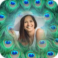 Peacock Feather Photo Frame