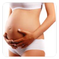 Pregnancy Symptoms on 9Apps