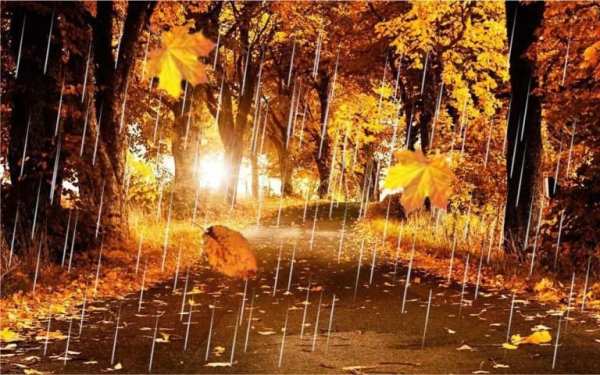 Autumn Rain LWP screenshot 2