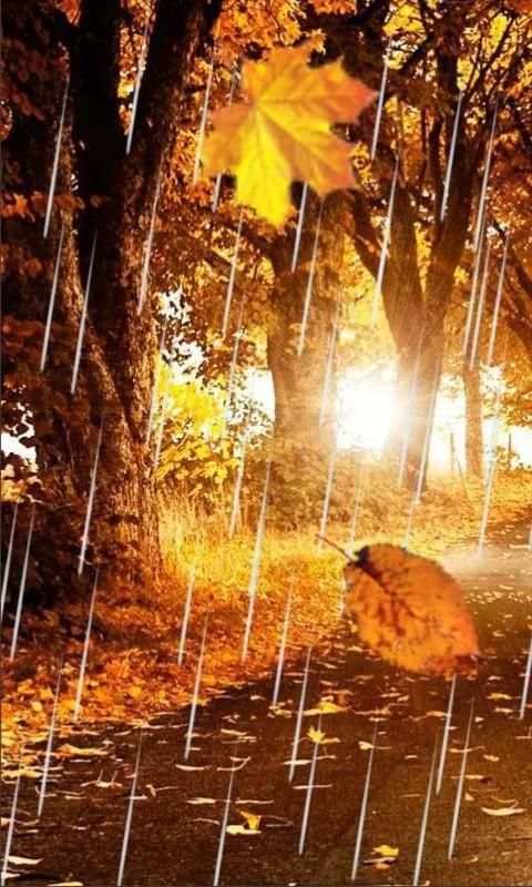 Autumn Rain LWP screenshot 5