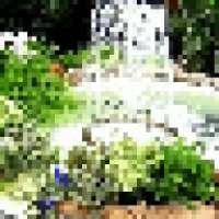 9 Garden Waterfall Live Wallpaper on 9Apps