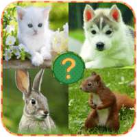 Animals Quiz