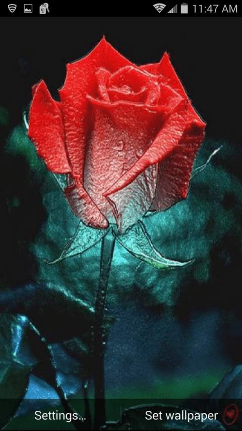Color Changing Rose Live Wallpaper screenshot 1