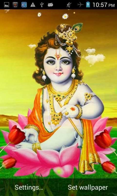Lord Krishna Live Wallpaper скриншот 2