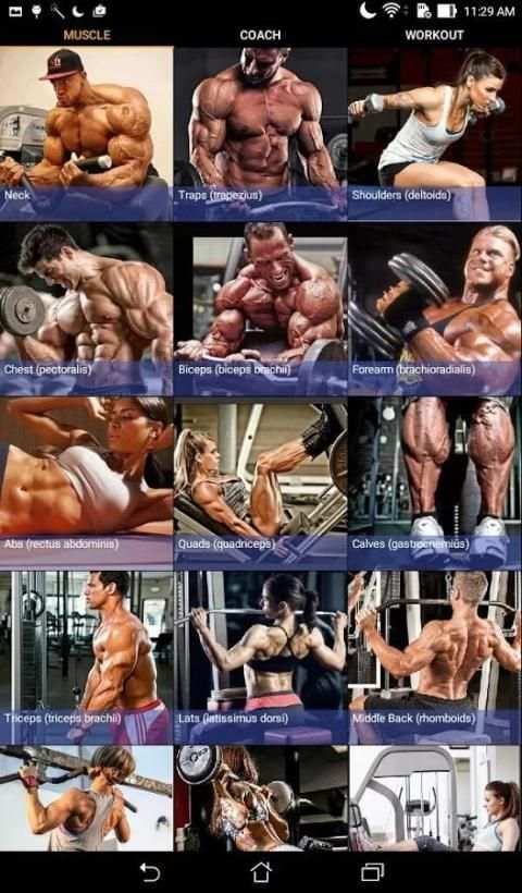 Gym workout स्क्रीनशॉट 5
