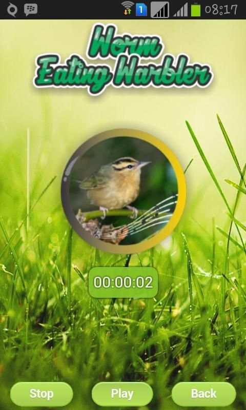 Worm Eating Warbler screenshot 2