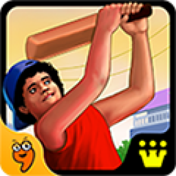 Gully Cricket icon