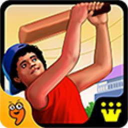Gully Cricket 1.3