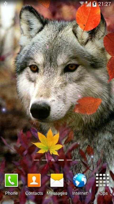 Autumn Live Wallpaper screenshot 12
