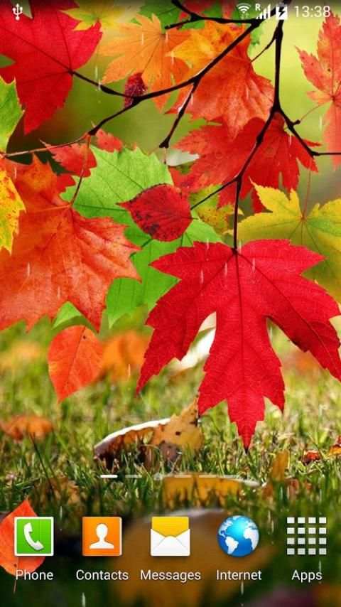 Autumn Live Wallpaper screenshot 10