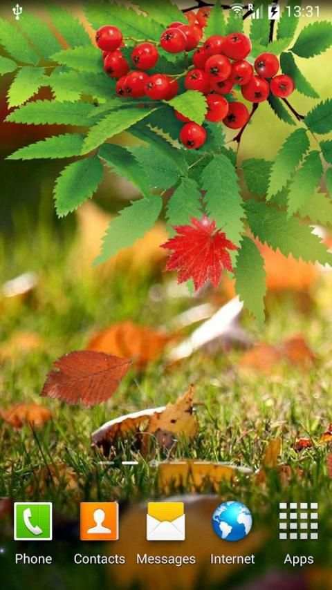 Autumn Live Wallpaper screenshot 15
