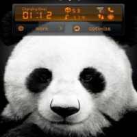 Wallpaper Panda Hidup